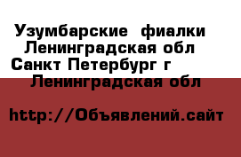 Узумбарские  фиалки - Ленинградская обл., Санкт-Петербург г.  »    . Ленинградская обл.